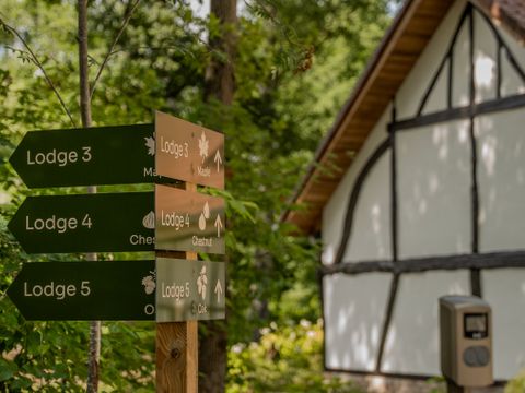 Woodz Lodges  - Limburg Belge - Image N°12