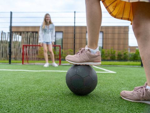Landal de Wedderplassen - Westerwolde