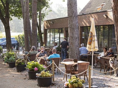 Camping Zavelbos - Limburg Belge