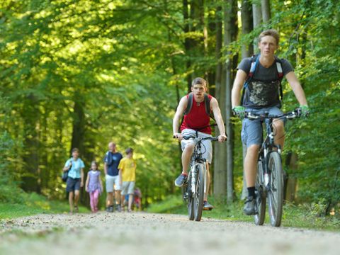 Camping Zavelbos - Limburg Belge - Image N°21