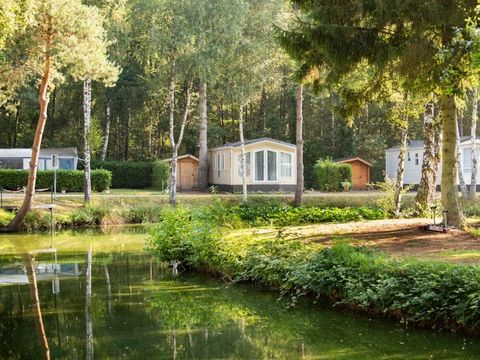 Camping Zavelbos - Limburg Belge - Image N°11