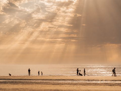MarinaPark Residentie Bloemendaal - Bloemendaal - Image N°2