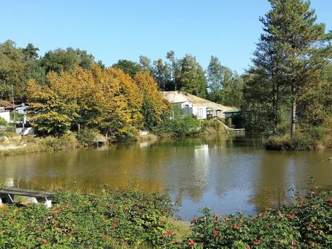 Wilsumer Berge - Basse-saxe - Image N°28