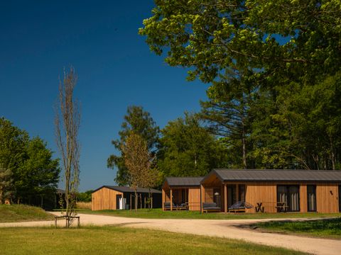 Wilsumer Berge - Basse-saxe - Image N°15