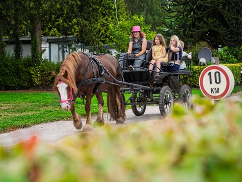 Arden Parks Tulderheyde - Anvers - Image N°22