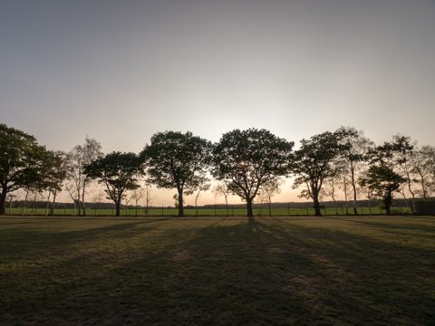 Arden Parks Tulderheyde - Anvers - Image N°12
