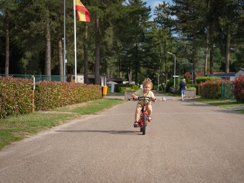 Arden Parks Tulderheyde - Anvers - Image N°4