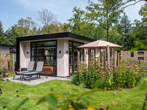 TopParken Resort de Brabantse Kempen - Reusel-De-Mierden - Image N°41