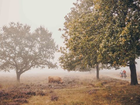 Landgoed Het Grote Zand - Midden-Drenthe - Image N°19
