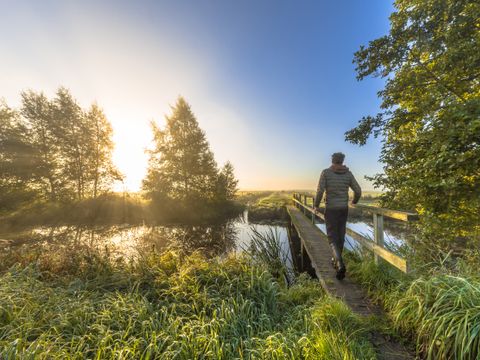 Landgoed Het Grote Zand - Midden-Drenthe - Image N°23