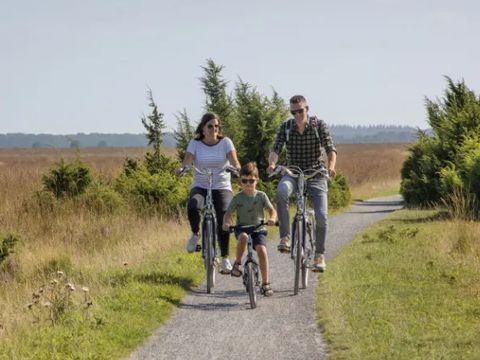 Buitenplaats de Hildenberg - Ooststellingwerf - Image N°5