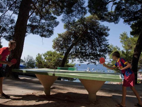 Camping Cikat - Istrie