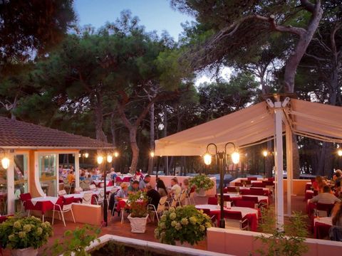 Camping Cikat - Istrie