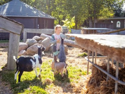 Vodatent Rosenvold Strand Camping - Jutland-Central - Image N°2