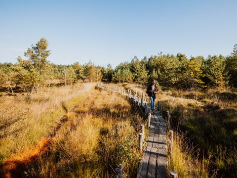Vakantiepark De Wiltzangh - De Wolden - Image N°25