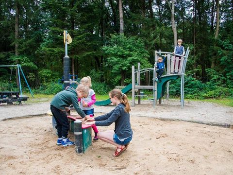 Vakantiepark De Wiltzangh - De Wolden - Image N°11