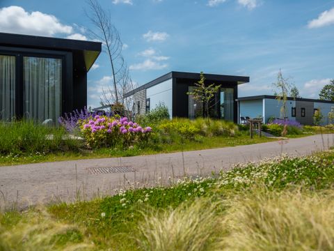 Vakantiepark De Wiedense Meren - Steenwijkerland - Image N°8