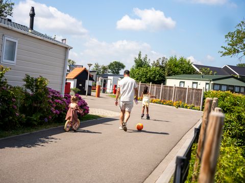 Vakantiepark De Zeeuwse Parel - Tholen - Image N°25