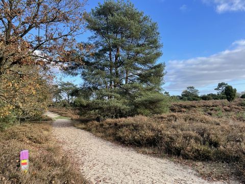 Vakantiepark De Kremmer - Aa en Hunze - Image N°25