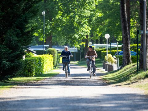 Camping Roland - Bergen - Image N°18