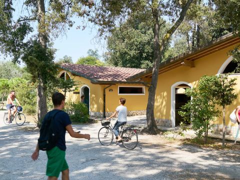 Europe Tents Campeggio Paradiso - Camping Lucques - Image N°2
