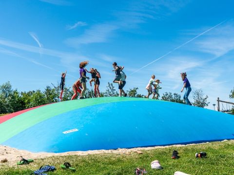Vakantiepark de Boomgaard - Camping Veere - Image N°3