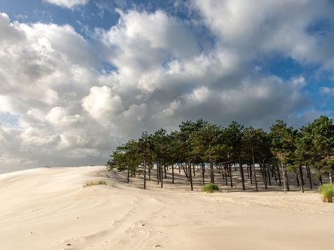 Vakantiepark Schoorlse Duinen - Bergen - Image N°5