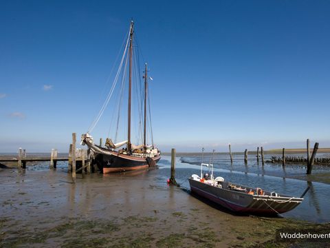 Villapark Residentie Texel - Texel - Image N°34