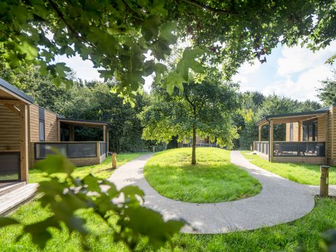 Urban Gardens Ieper - Flandre Occidentale - Image N°18