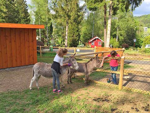 Bungalowpark Felsenhof - Rhénanie-Palatinat