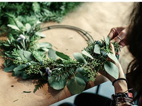 Thuysgrond - Bergeijk - Image N°2