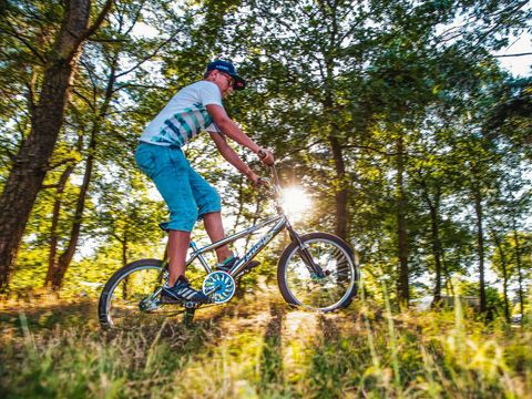 Recreatiepark de Achterste Hoef - Bladel