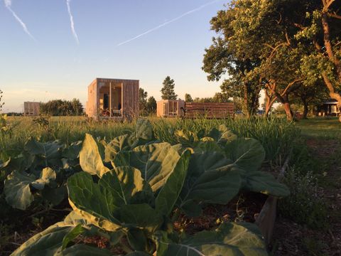  Pean-Buiten Weidum - Leeuwarden