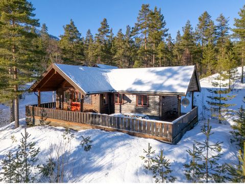 Fjord Rentals - Telemark - Image N°22