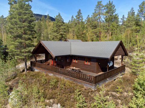 Fjord Rentals - Telemark - Image N°8
