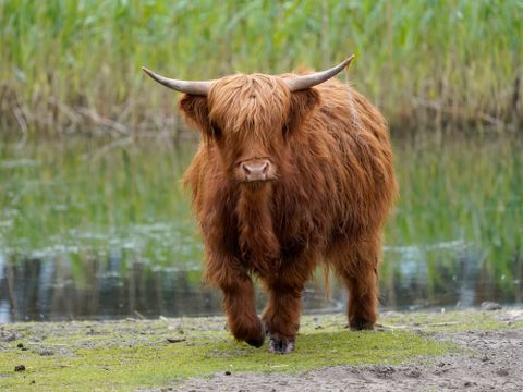 Serengeti Park - Basse-saxe - Image N°12