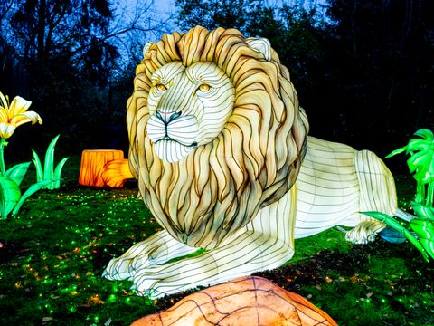 Serengeti Park - Basse-saxe - Image N°19