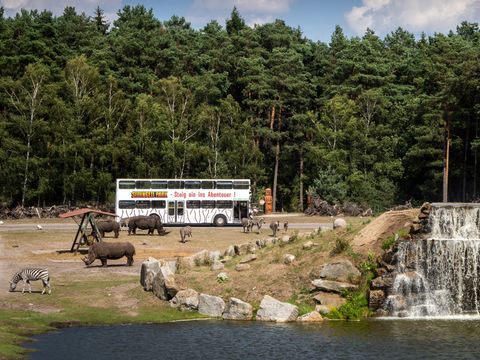 Serengeti Park - Basse-saxe - Image N°3