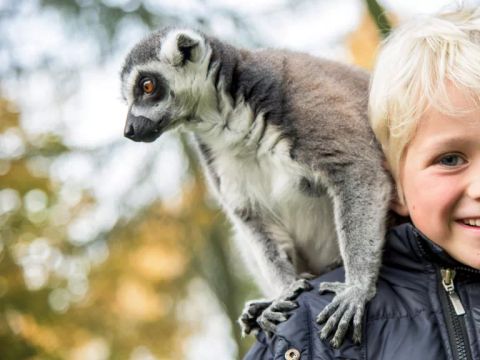 Serengeti Park - Basse-saxe - Image N°4