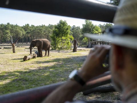 Serengeti Park - Basse-saxe - Image N°5