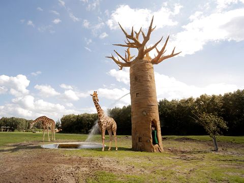 Serengeti Park - Basse-saxe - Image N°14