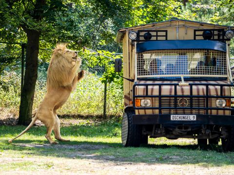 Serengeti Park - Basse-saxe
