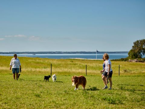Vodatent Emmerbølle Strand Camping - Danemark du Sud - Image N°2