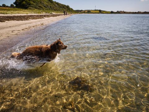 Vodatent Emmerbølle Strand Camping - Danemark du Sud - Image N°4