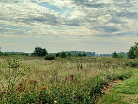 Vodatent Camping Hunze Bulten - Aa en Hunze - Image N°4