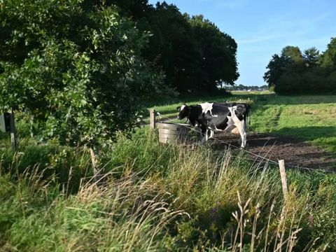 Vodatent Camping Hunze Bulten - Aa en Hunze - Image N°5