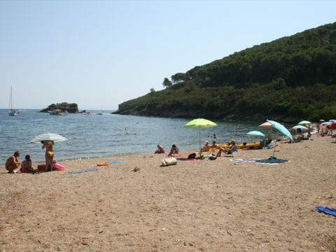 Vodatent Tenuta delle Ripalte - Livourne - Image N°4