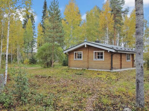 Vaikko Riverside Resort - North Karelia - Image N°12