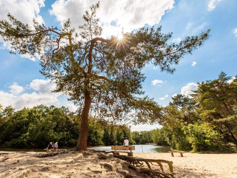 Recreatiepark Duinhoeve - Tilburg - Image N°15