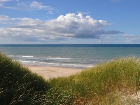 Vodatent Tornby Strand Camping - Jutland du Nord - Image N°2